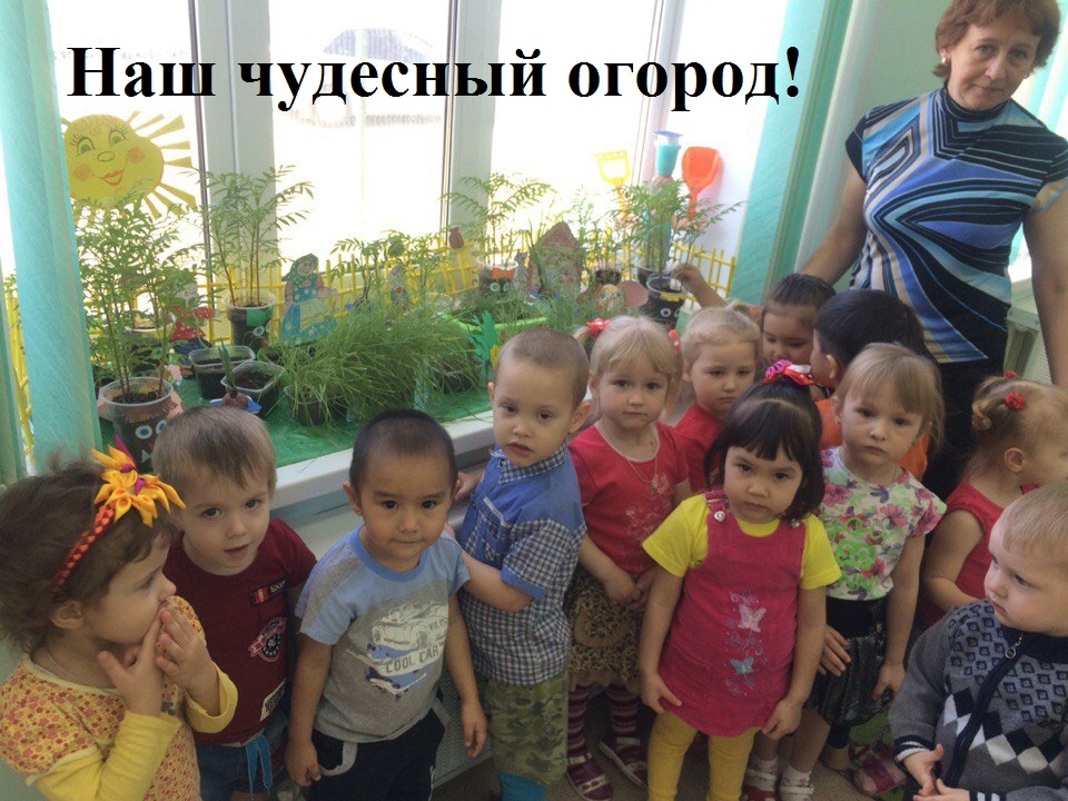 Детский Сад Ласточка Фото