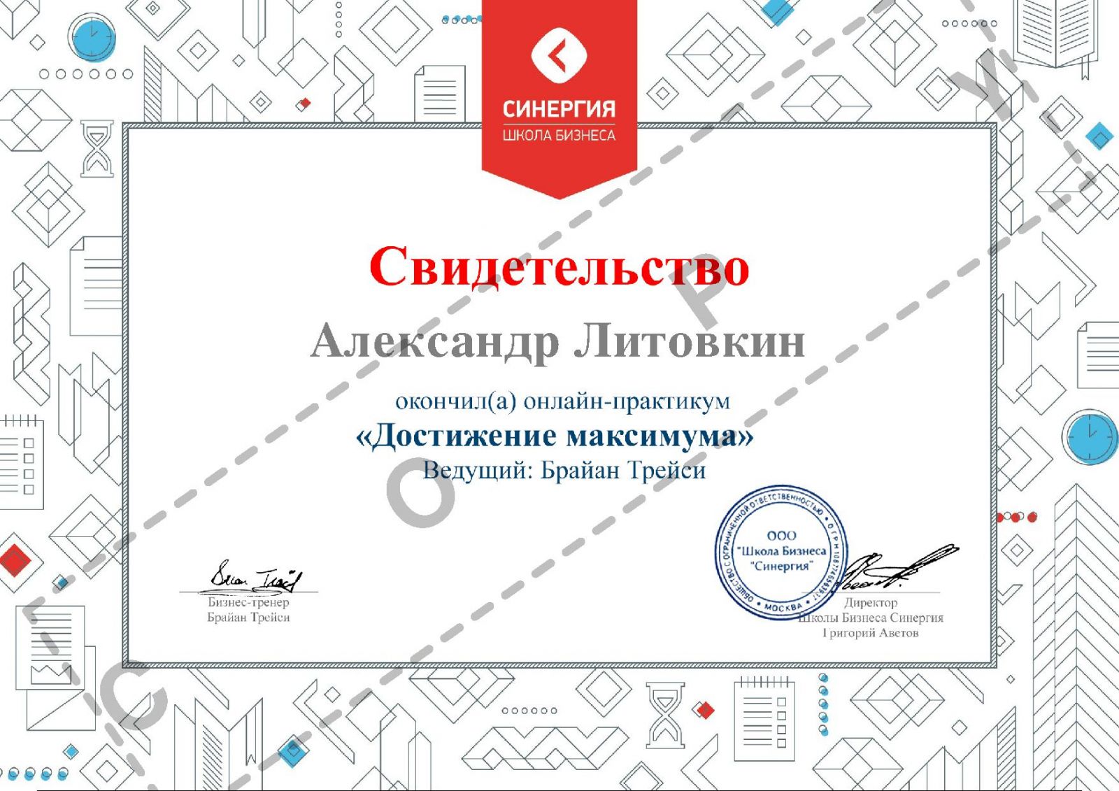 Сертификат Литовкин "Достижение_максимума"